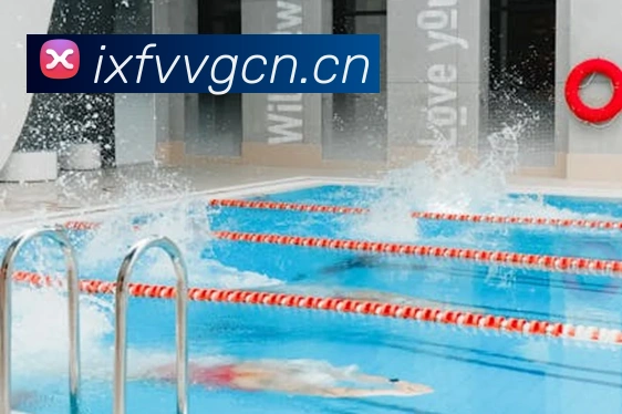 星空官方登录入口平台生态图